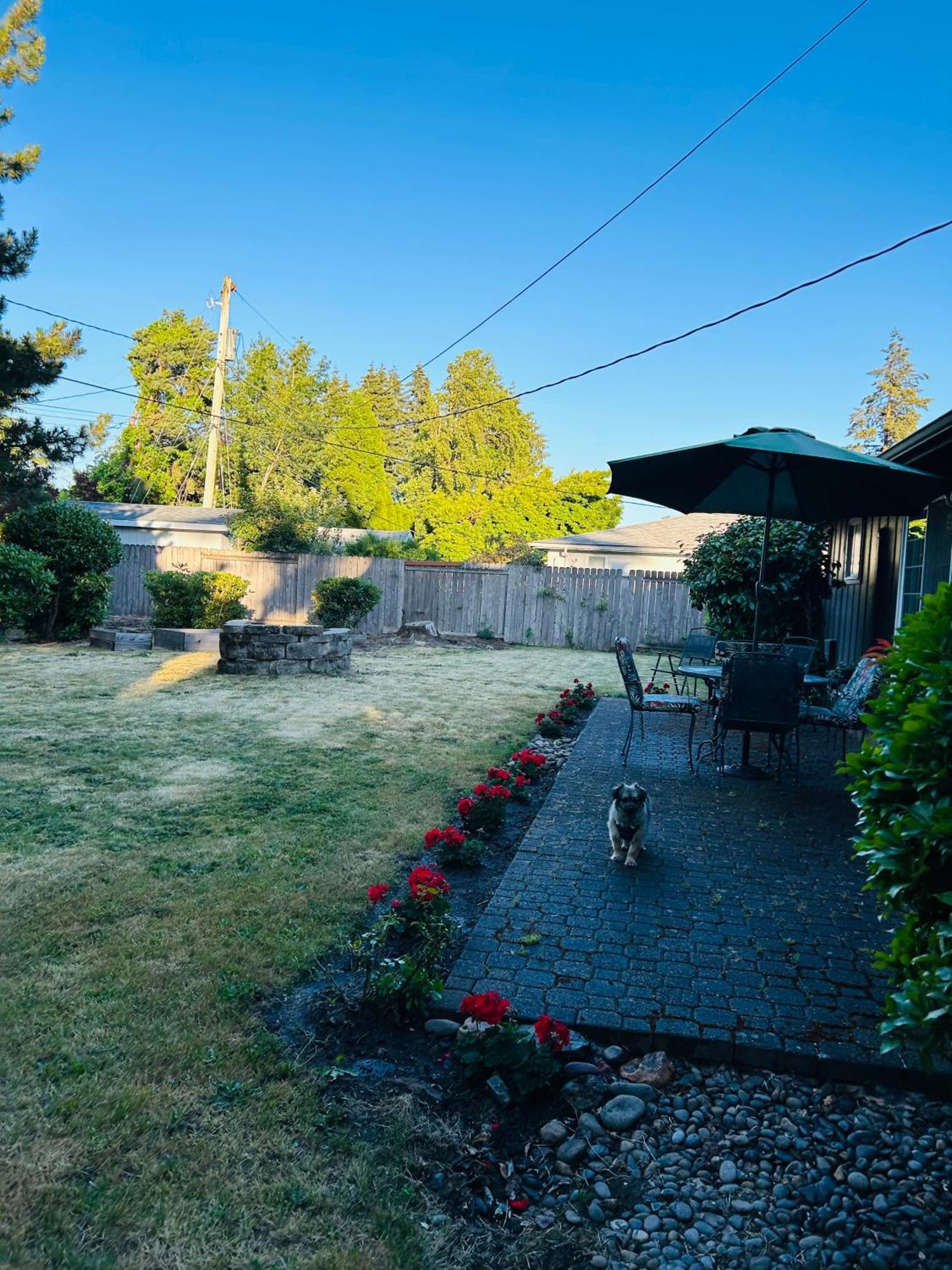 Emerald City 3 Bedroom 1 Bath Home Eugene Kültér fotó