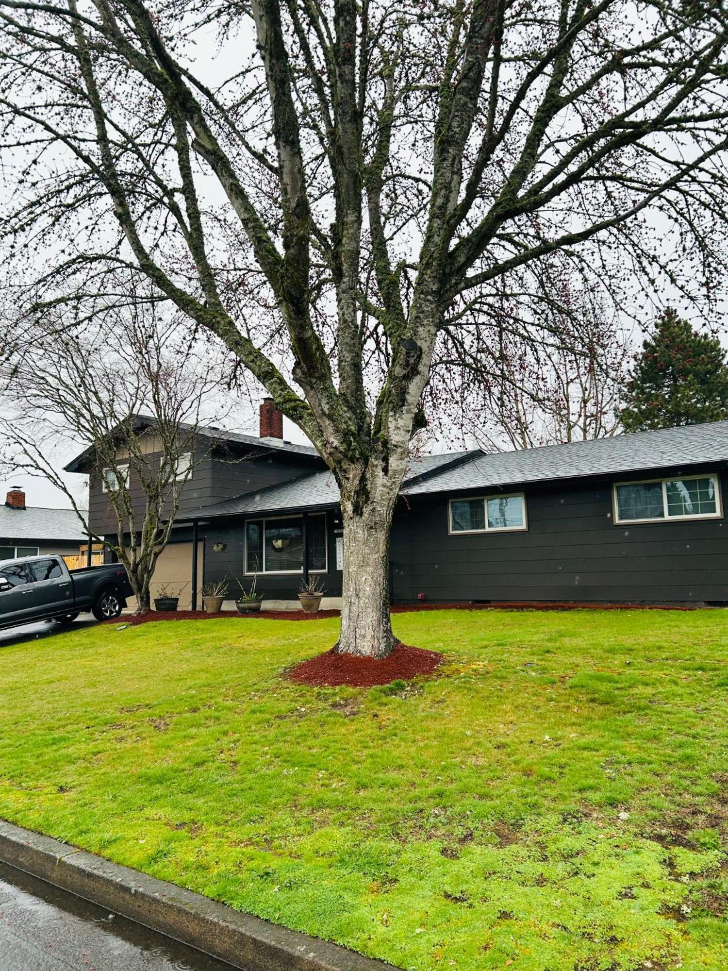 Emerald City 3 Bedroom 1 Bath Home Eugene Kültér fotó